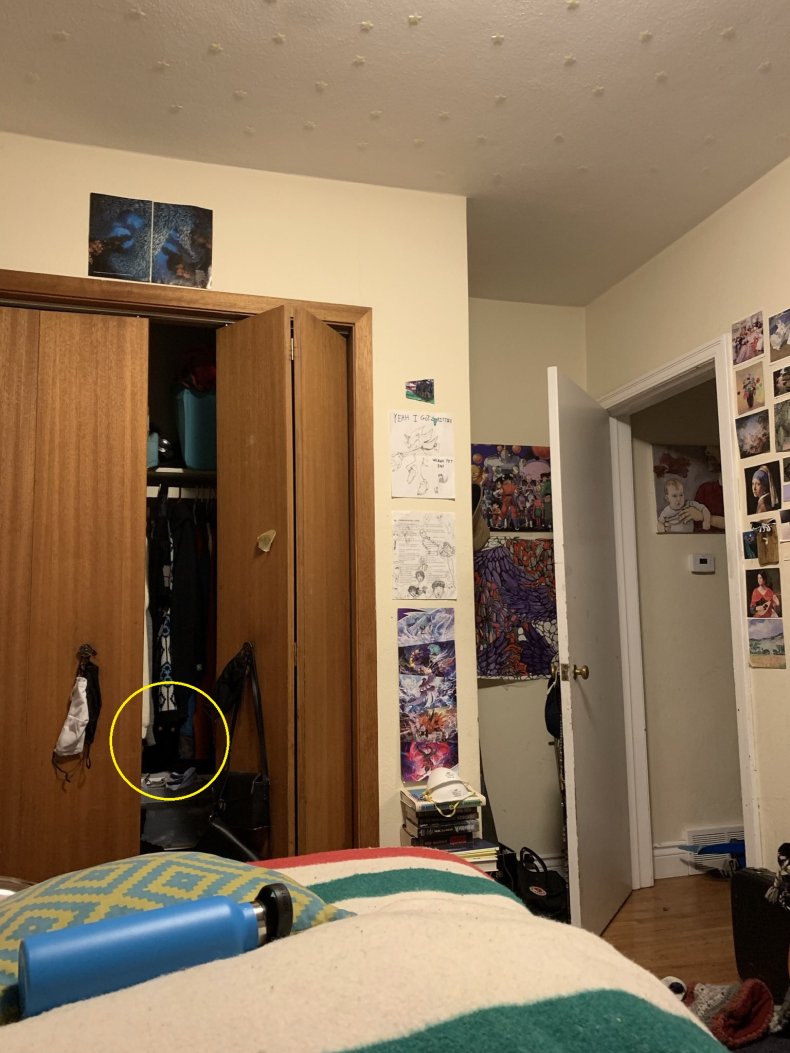 Photo of cat hidden in a bedroom.