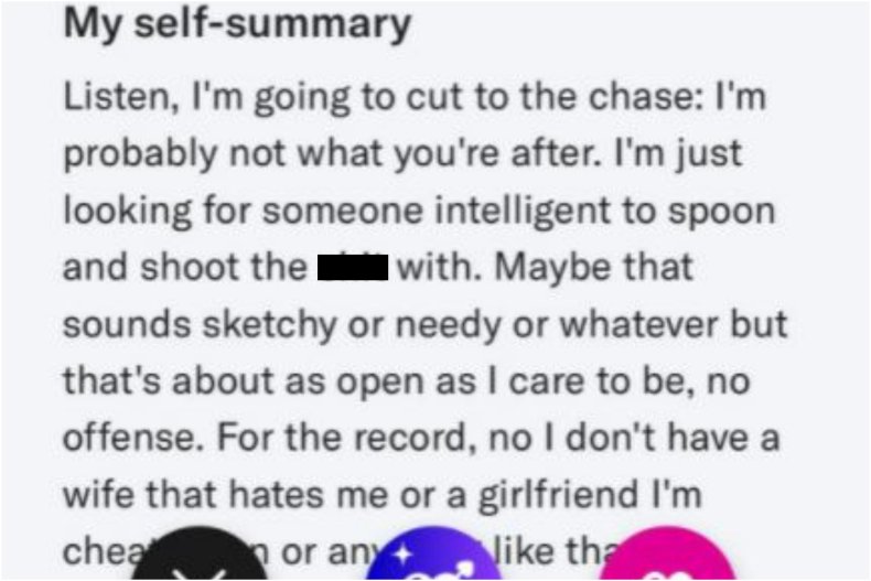 A man's dating app profile.