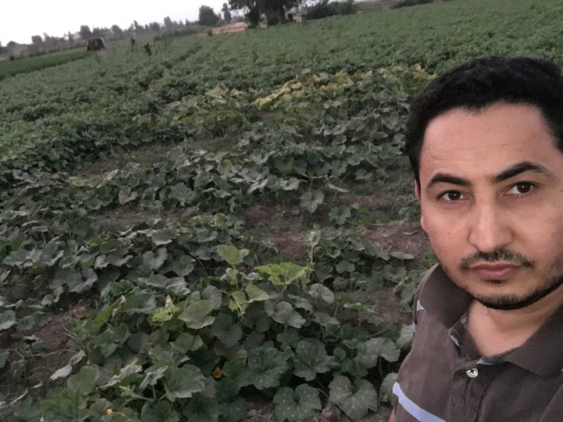 Emad Mady squash seeds