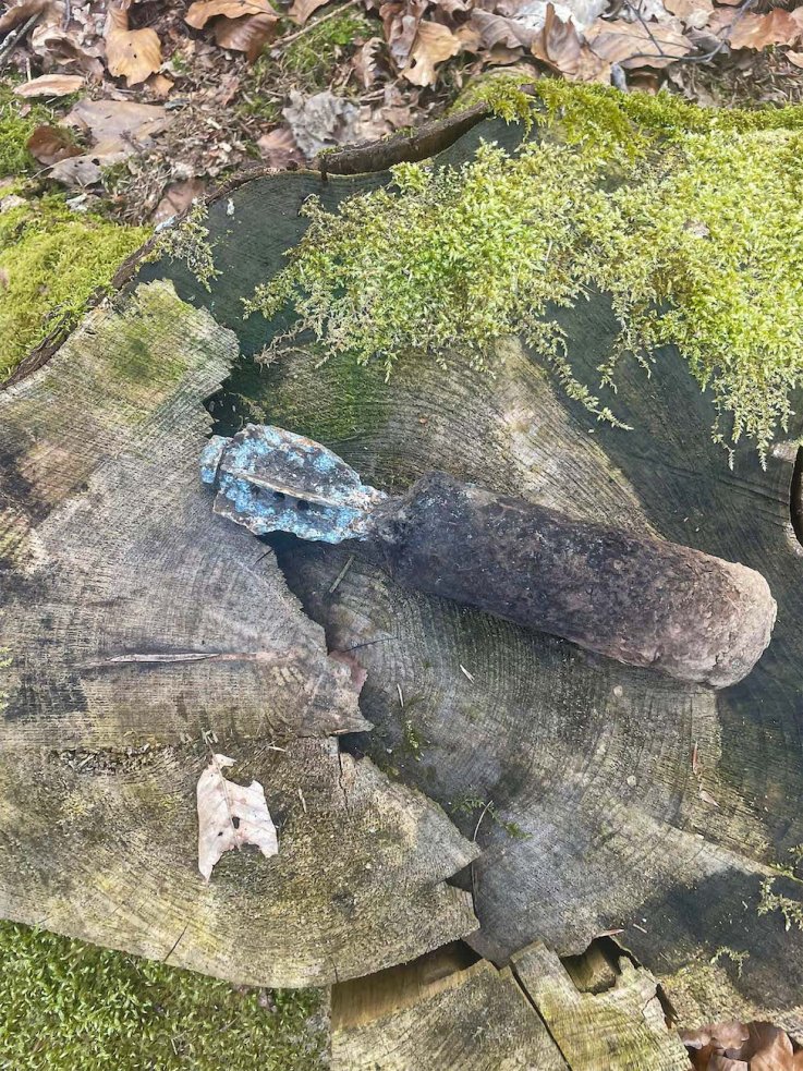 Unexploded bomb in German forest