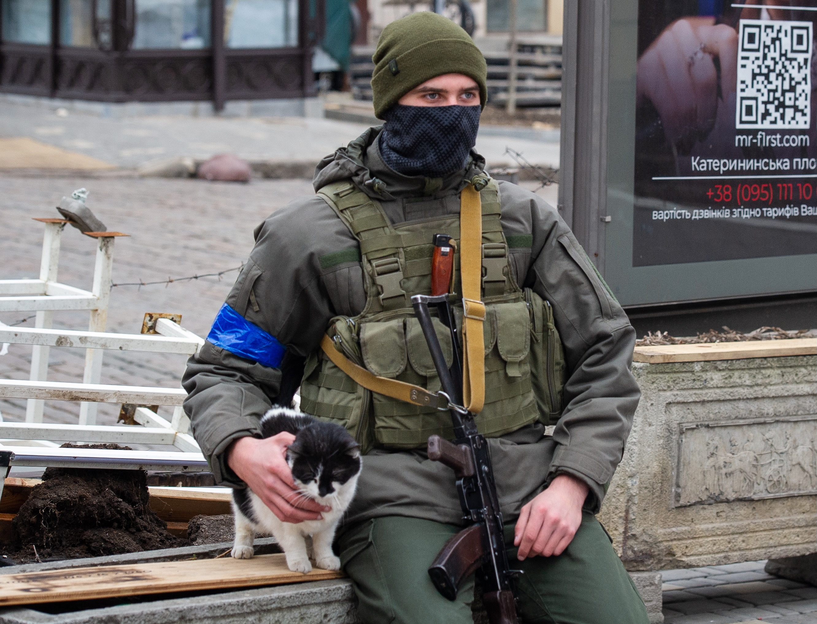 Ukraine s Feline Defense Force Brings Some Relief To The War Weary 