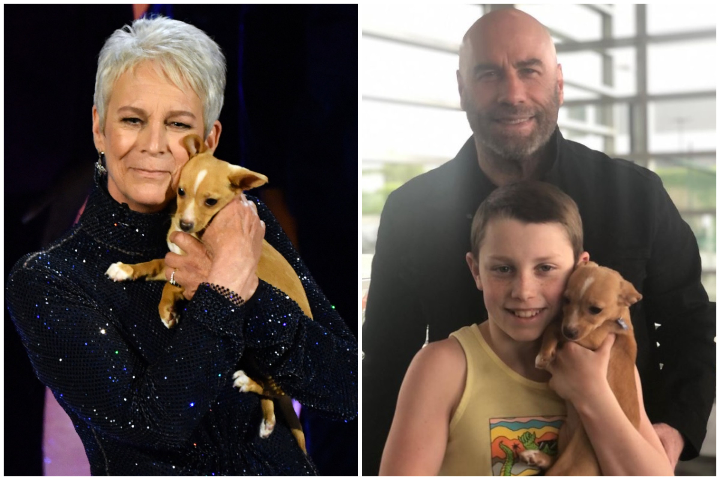 John Travolta Adopts Dog Jamie Lee Curtis Brought Onstage at the Oscars