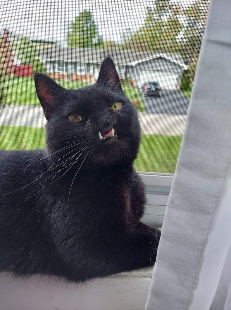 Onyx