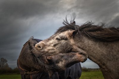 CEWE Photo Award entrant. 