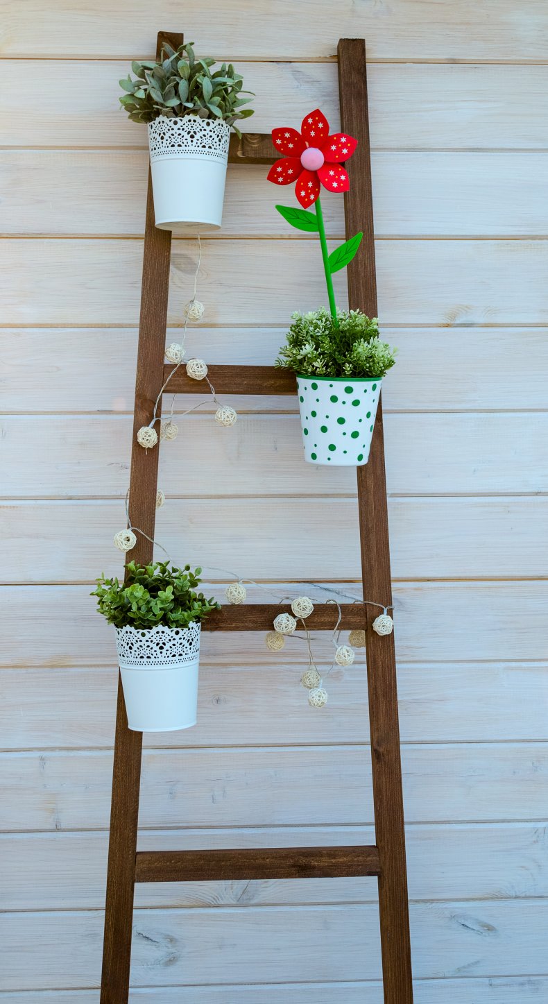 Flowers pots hanging from a wall ladder.