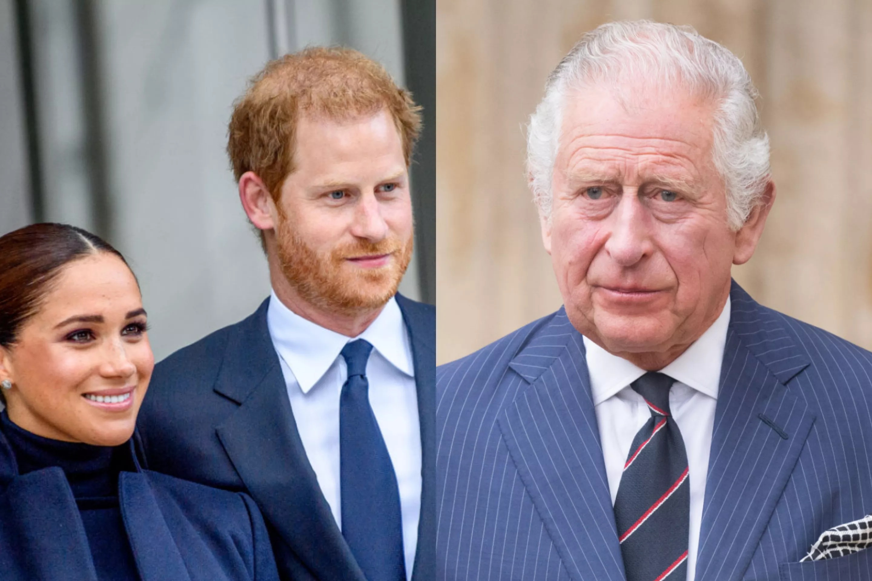 Prince Charles To Visit Meta Despite Harry, Meghan's Anti-Facebook Campaign - Vimarsana News