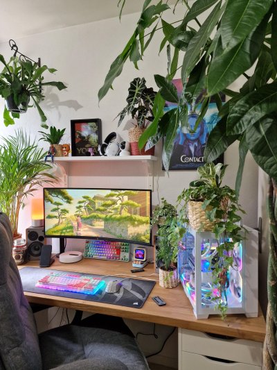 living room full of plants