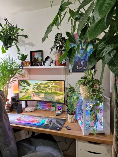 living room full of plants living room full of plants