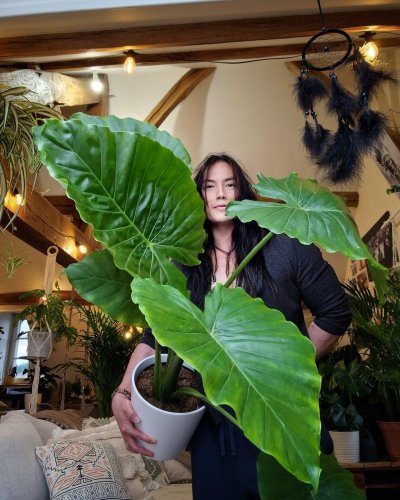 Linh and one of his beautiful plants Linh and one of his beautiful plants