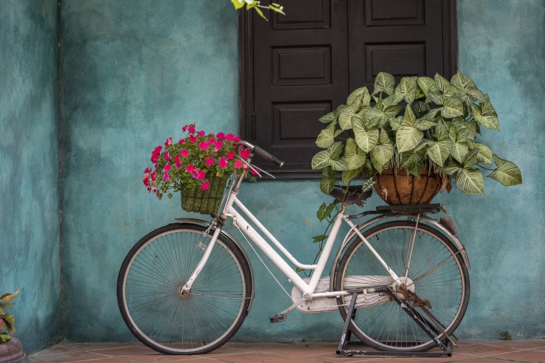 Vintage bike holding flowers in baskets. 