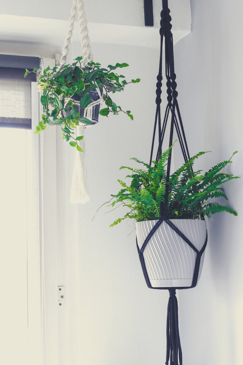 Handmade rope plant stands.
