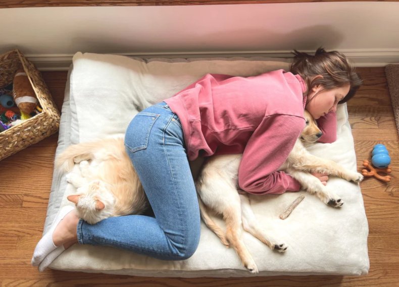 Woman asleep with pets