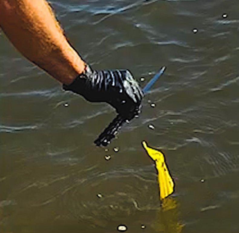 Florida deputy stabbed