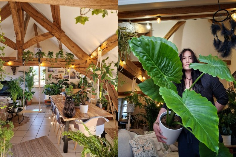 Linh and his lovely plants