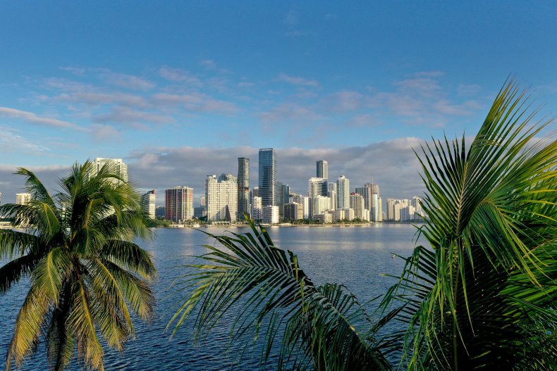 Aerial view of palm trees framing the