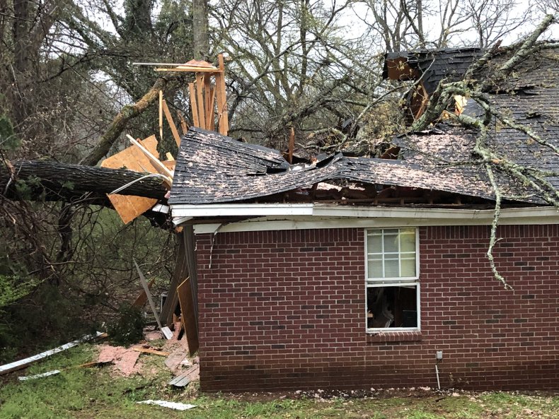 Tree on House in Oxford, MS