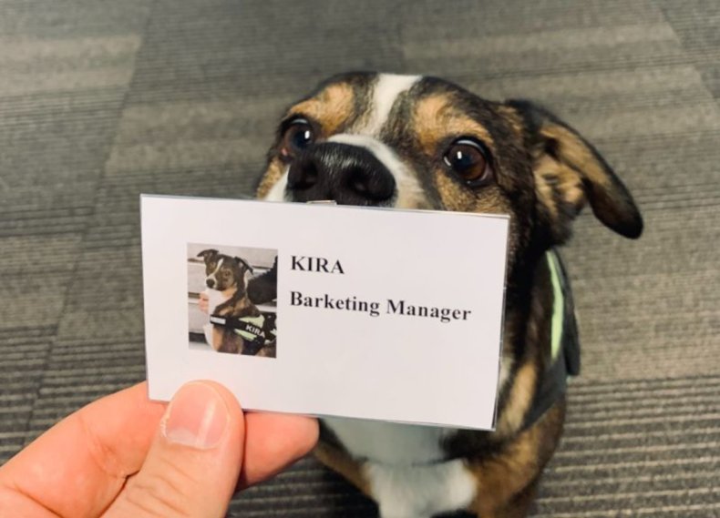 Barketing manager Kira
