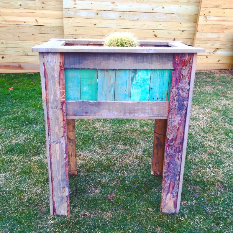 A raised pallet plant stand with cactus.