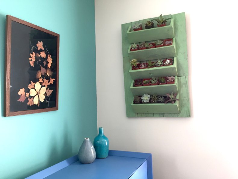 A pallet wall plant stand.