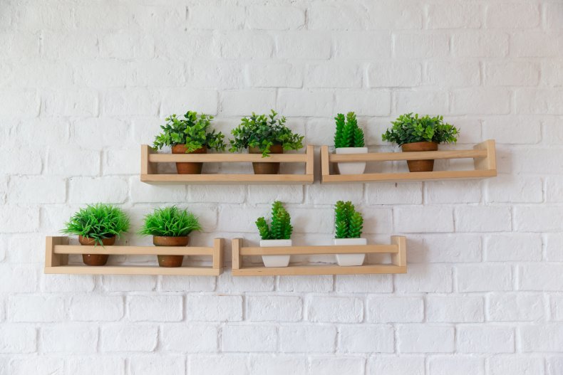 Plants on wall shelves.