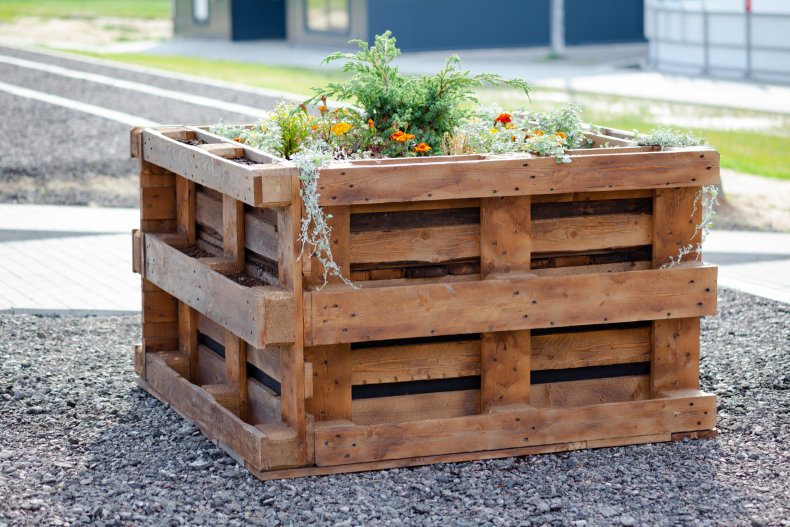 A flower bed made of wood pallets. 