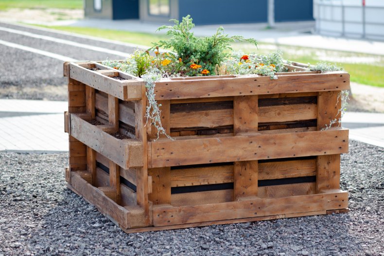A flower bed made of wood pallets.