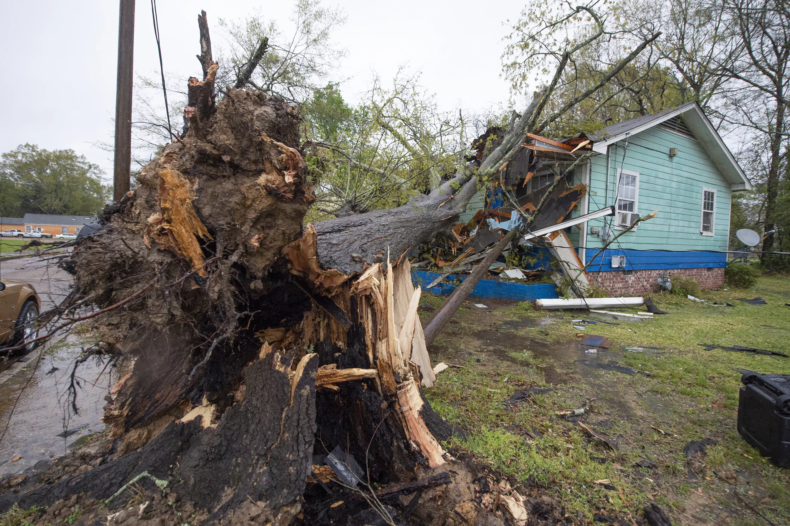 Tornado in Florida Panhandle Kills 2, Destroys Several Homes - Vimarsana News