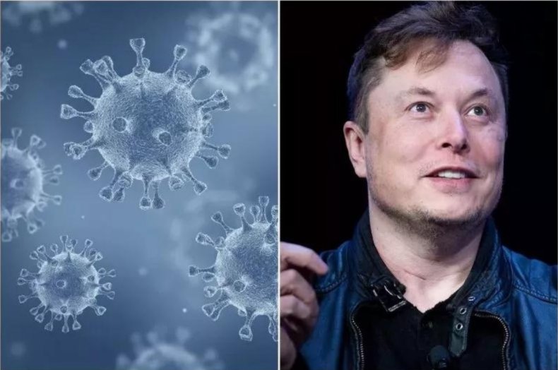 Virus Covid et Elon Musk