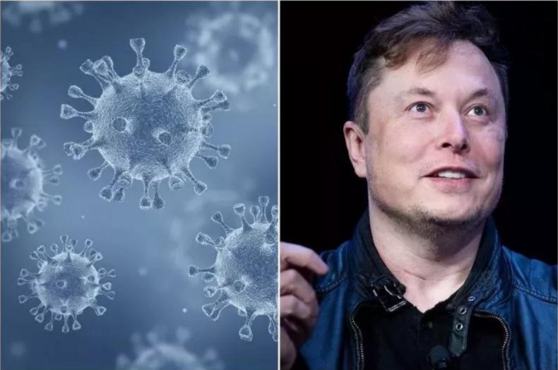 Virus Covid et Elon Musk :