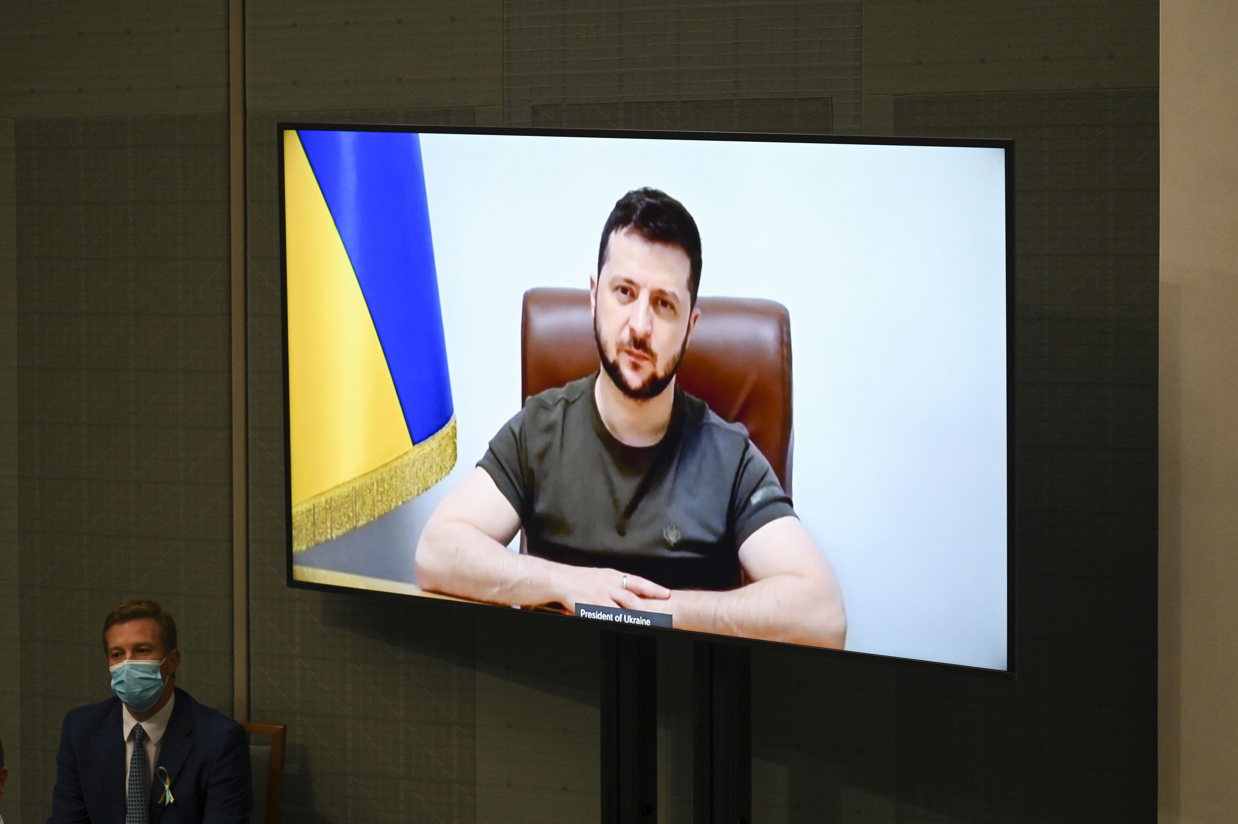 Zelensky NATO Compromise With Putin Hinges on West's Unlikely Participation