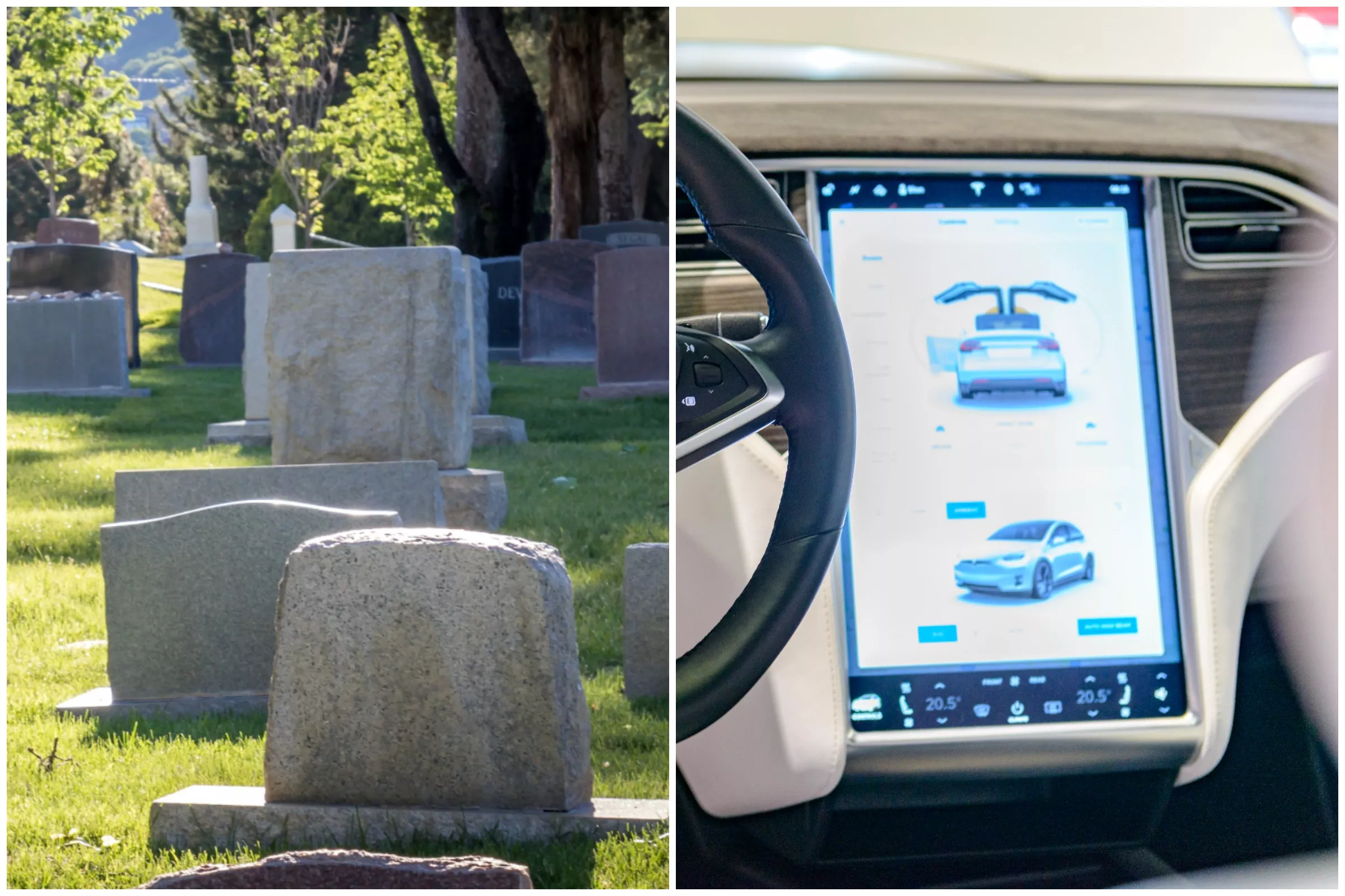 'Ghostbuster': Chills As Video Shows Tesla Detects People in Empty Cemetery - Vimarsana News