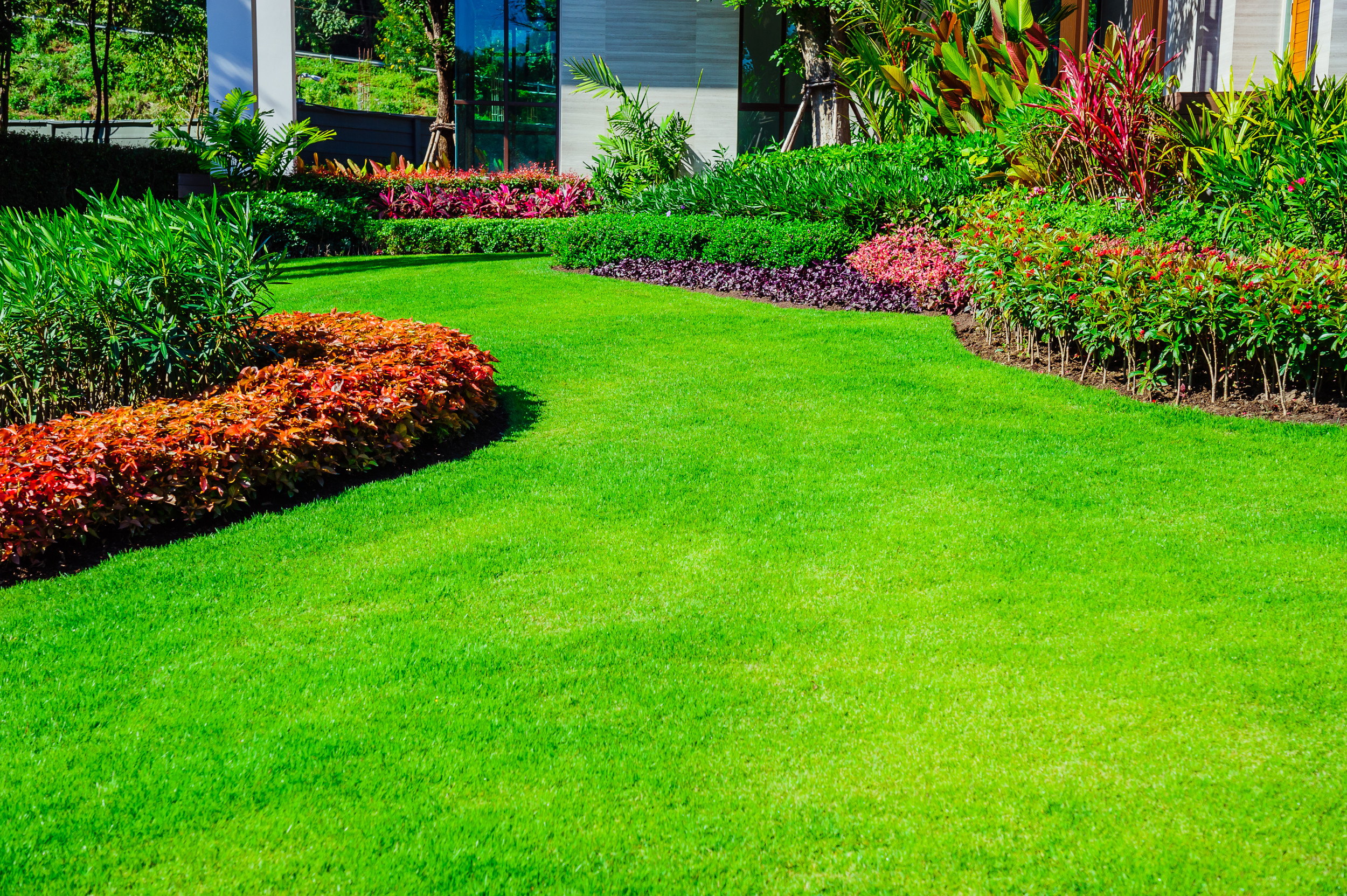 The Pros’ Secret To Saving Money on Landscaping