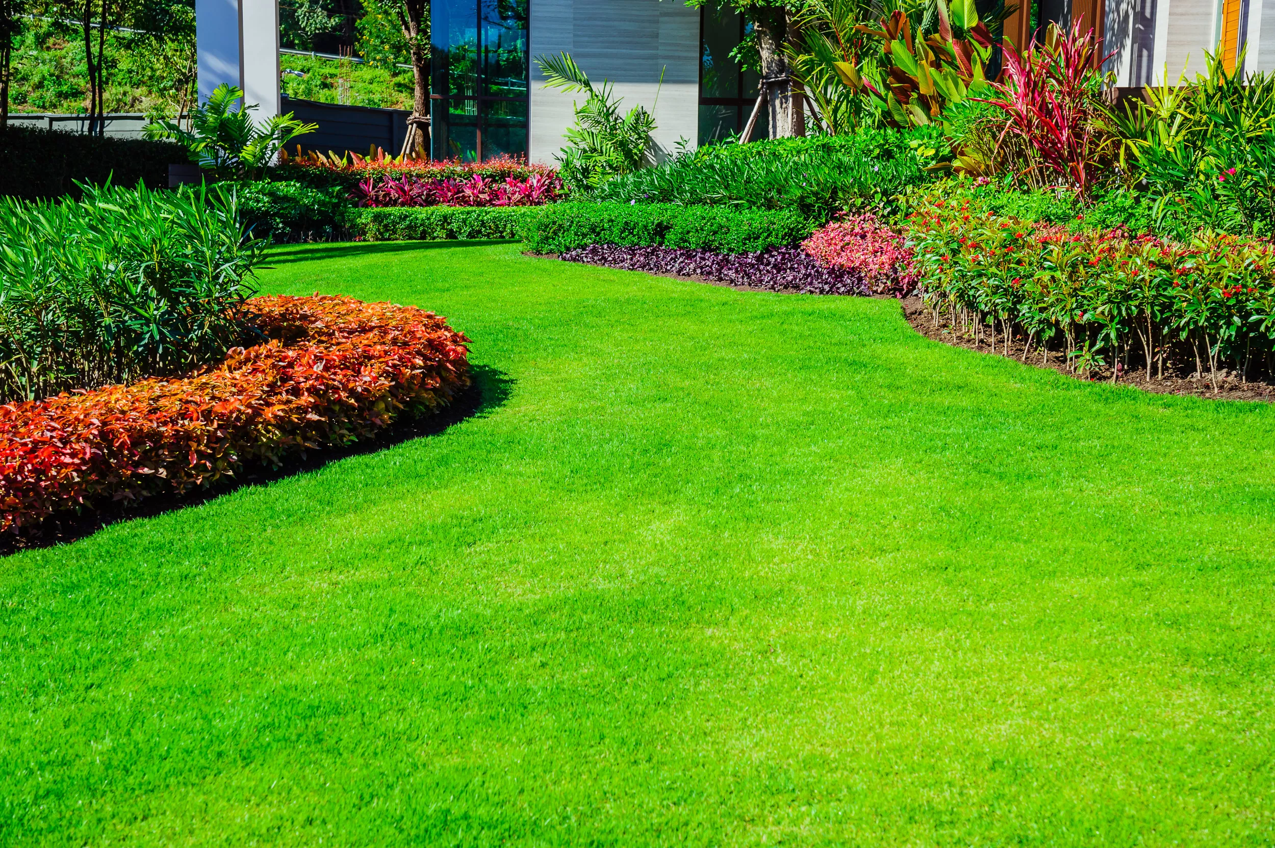 Bare Root Plants: The Pros' Secret To Saving Money on Landscaping - Vimarsana News