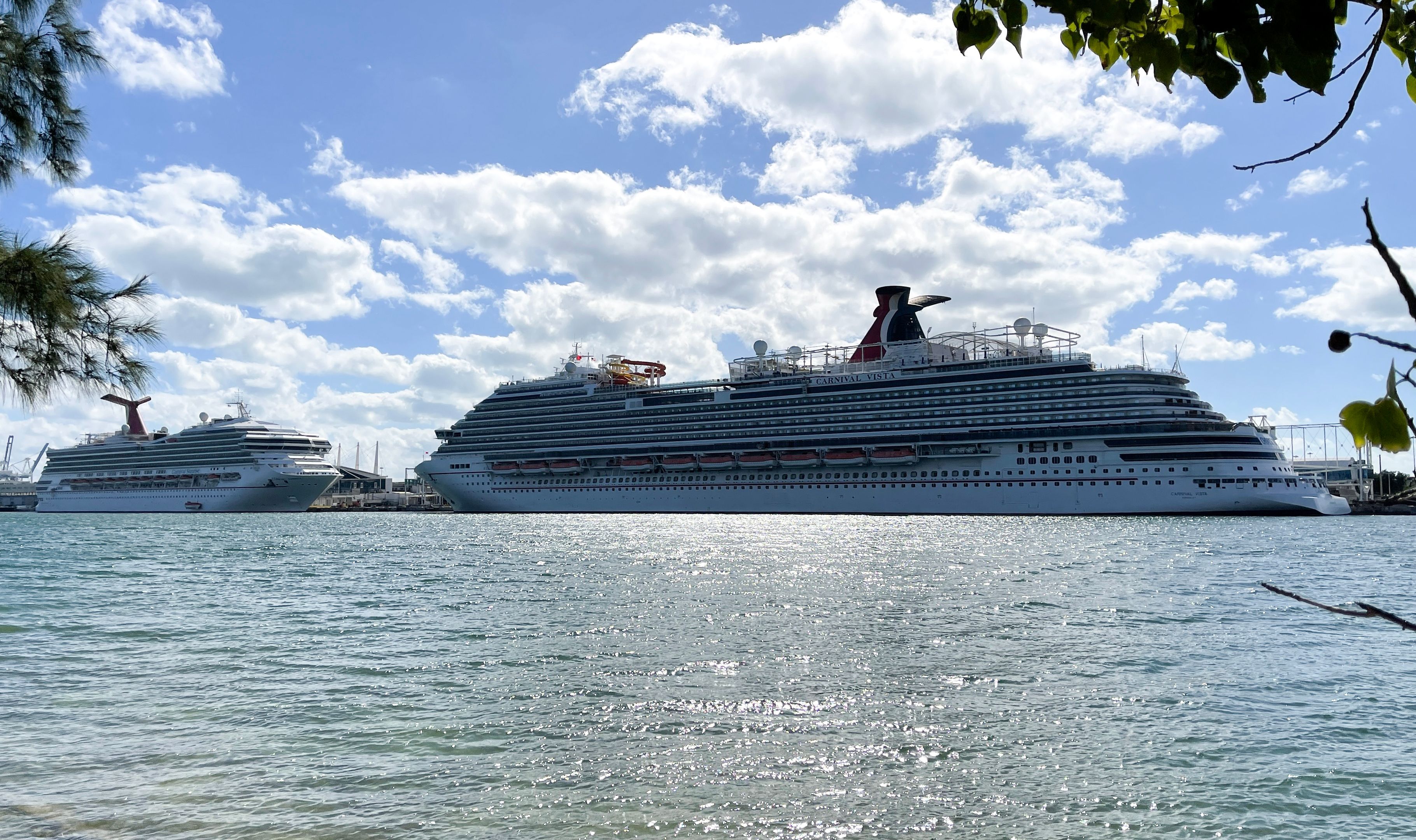 Carnival sieht geschäftigste Buchungswoche aller Zeiten, nachdem CDC Cruise Advisory zurückgezogen hat