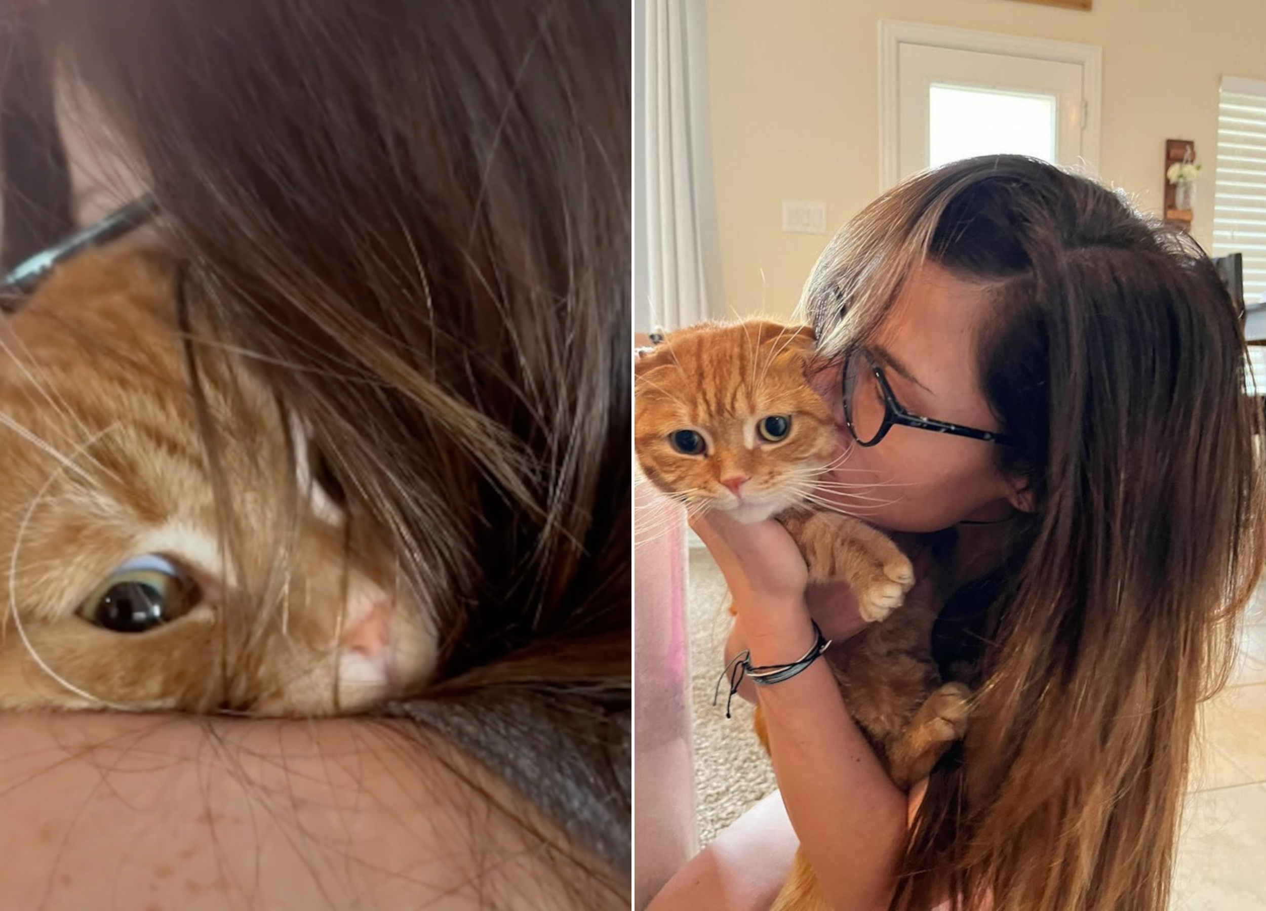 So Dramatic': Cat's Needy Reaction to Having Claws Trimmed Wins Internet