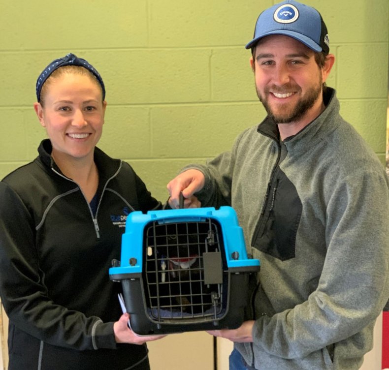 Buddy goes to foster care