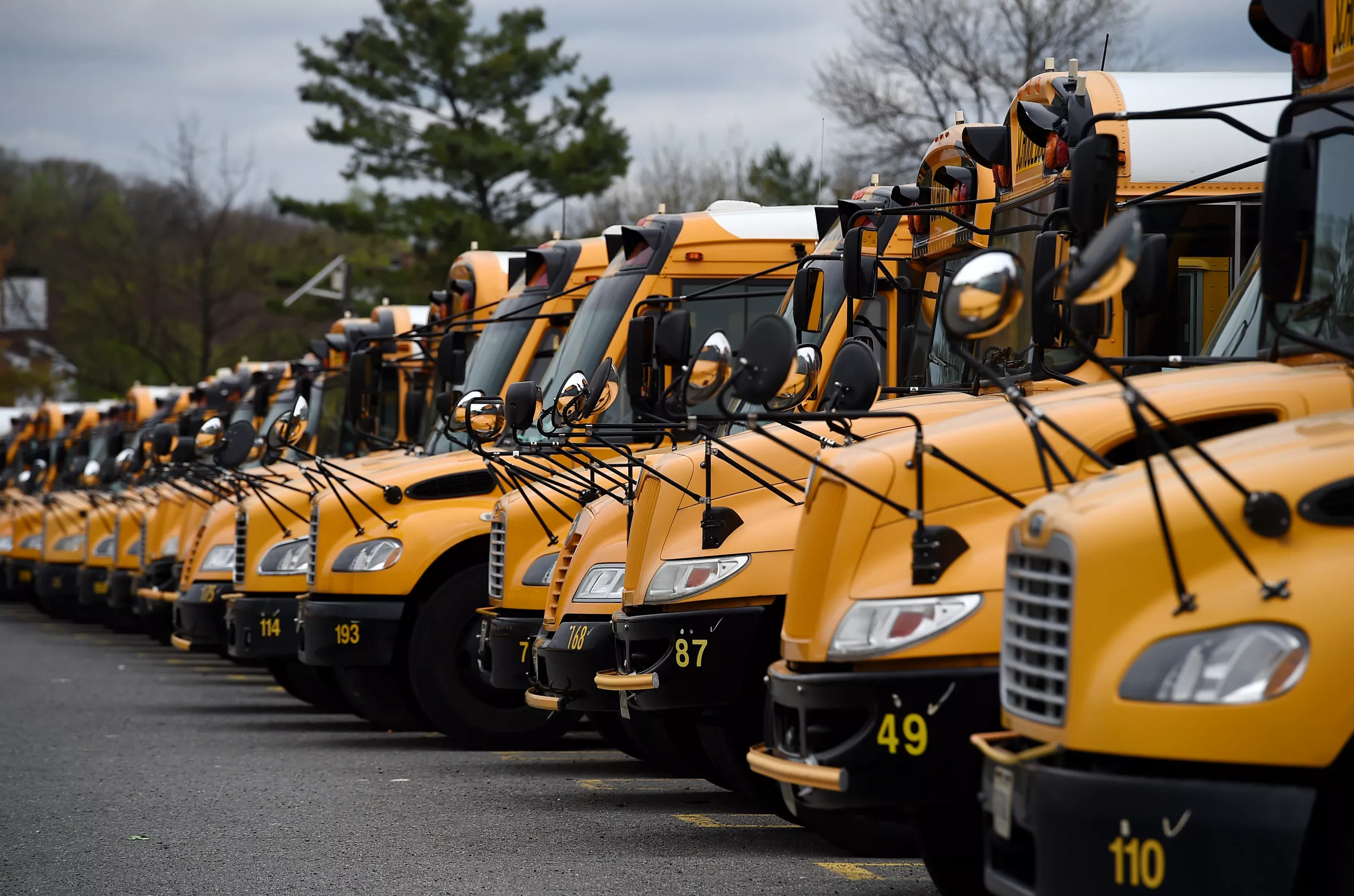 Bus Driver Accused of Swabbing Kids' Cheeks for Money May Face Jail Time - Vimarsana News