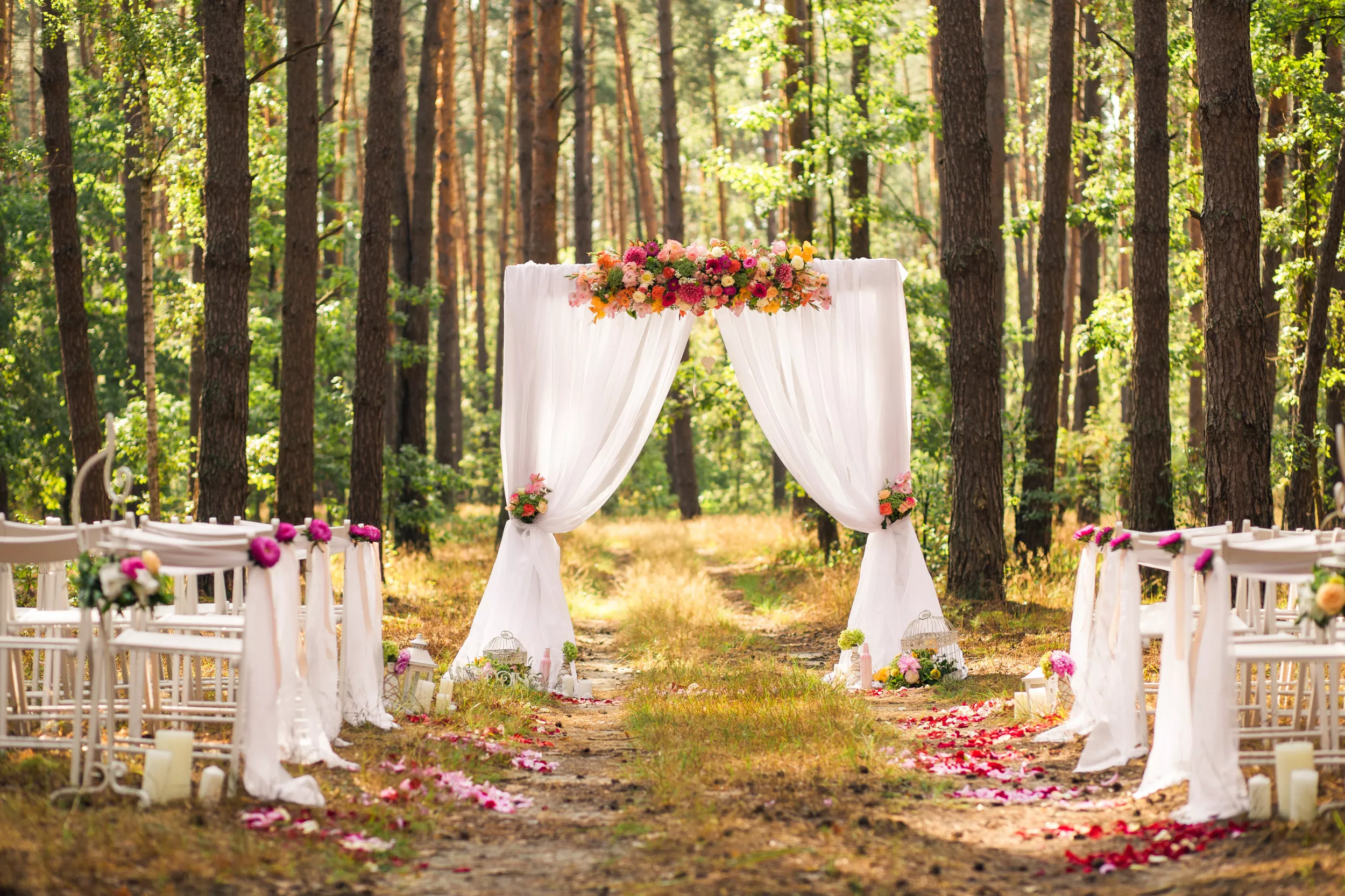 Bride Shares What She Included in Wedding Welcome Bags in Clip: 'Very Cute' - Vimarsana News