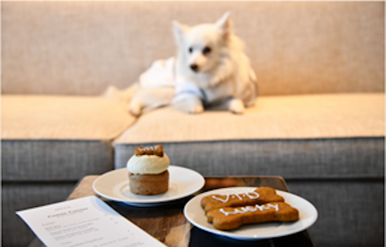 dog friendly hotels 1