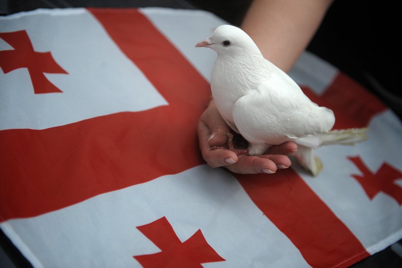 Dove near a Georgian flag