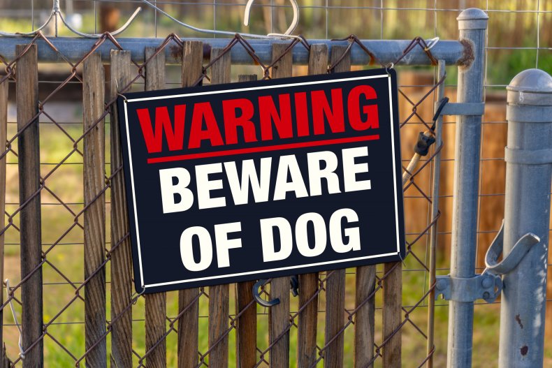 Guard Dog