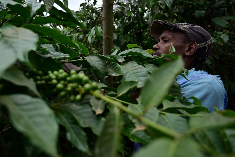 A farmer picks up bays