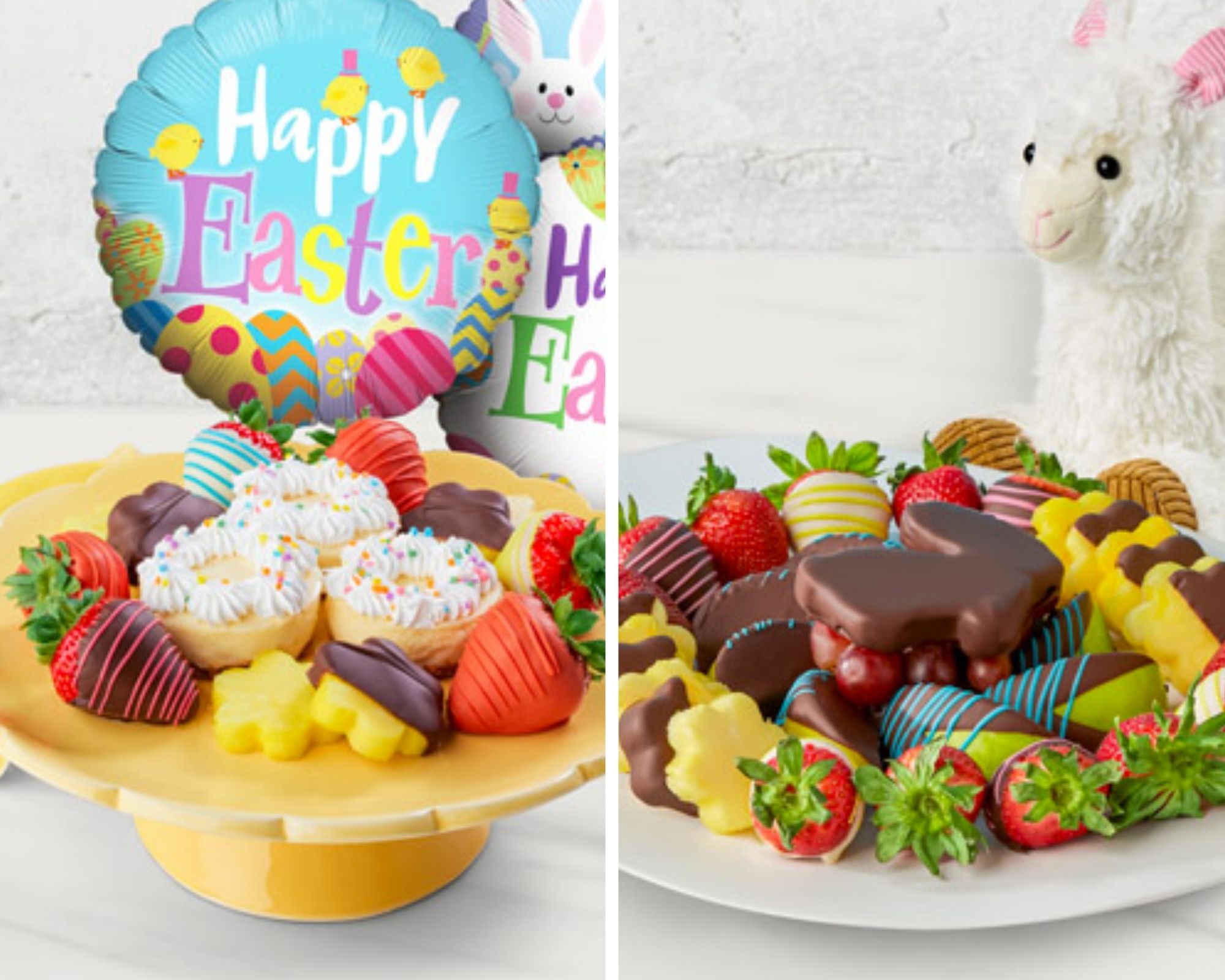 Edible Arrangements South Carolina - syjcrl5