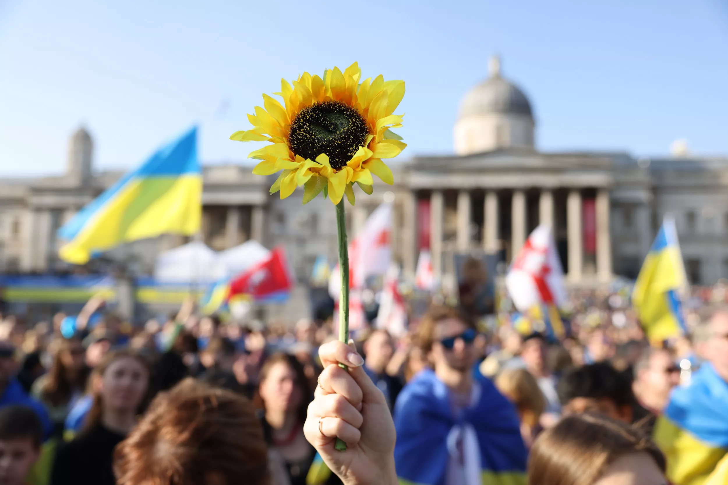 Pink Floyd's New Music Honoring Ukraine Marks Return of Band After 30 Years - Vimarsana News