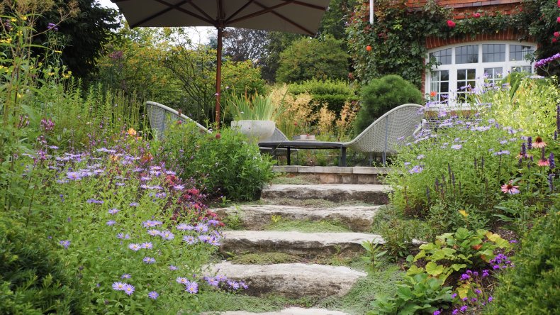Ann-Marie Powell's Garden