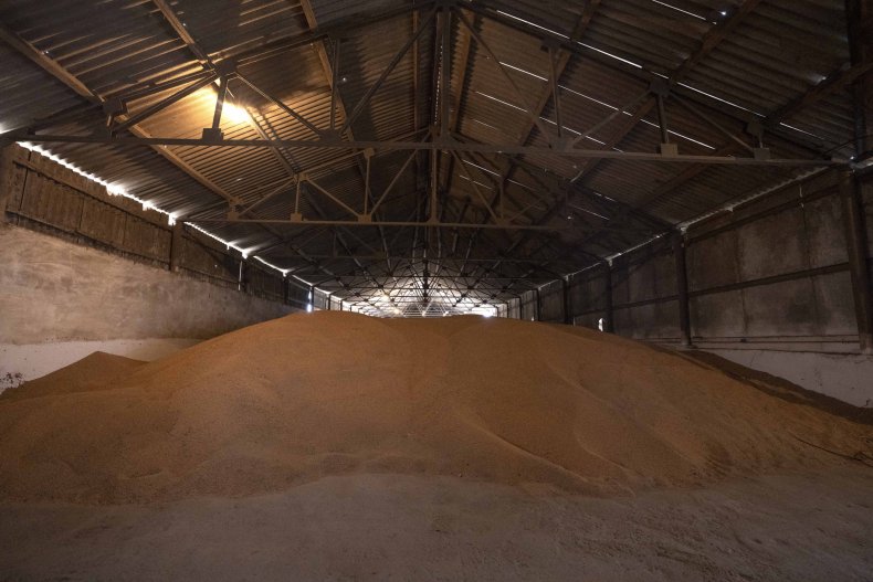 Ukraine wheat