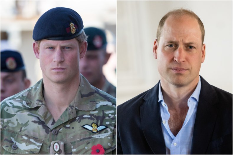 Prince Harry and Prince William Army 2015