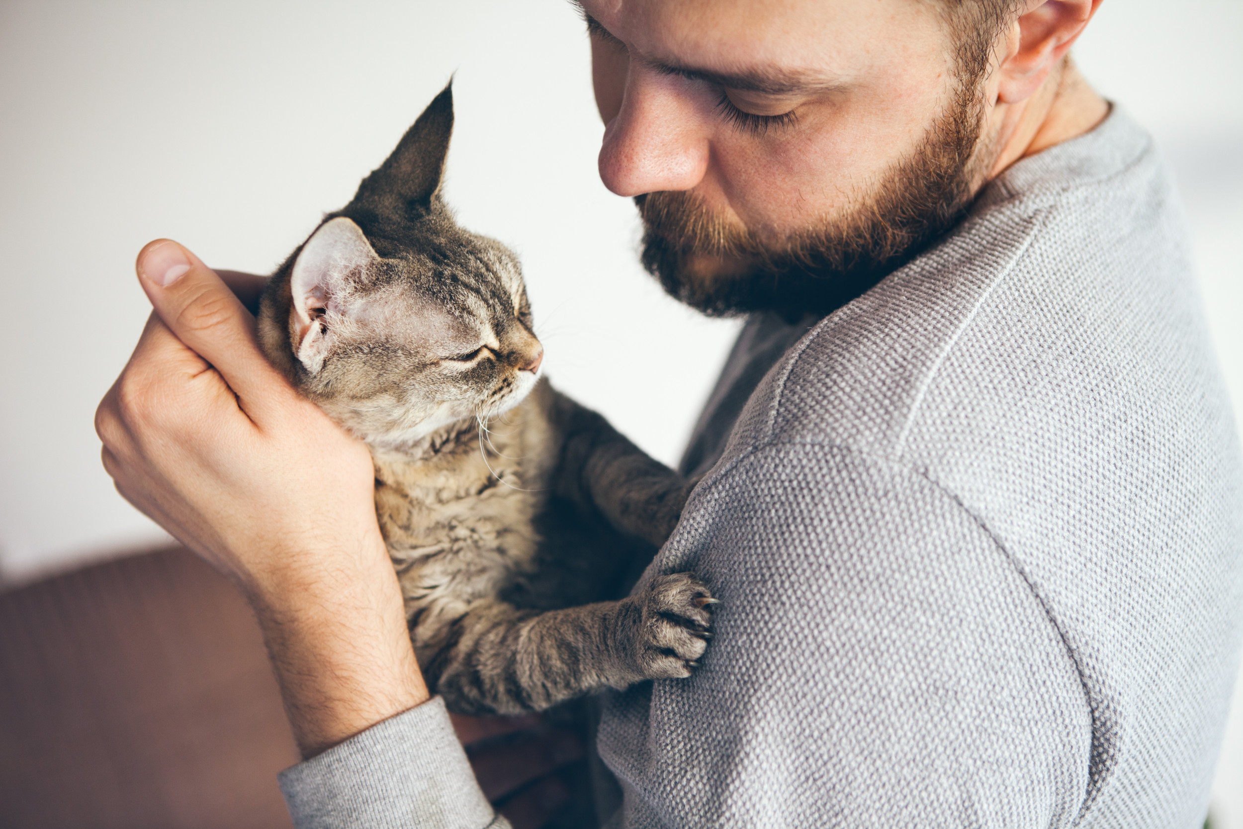 The Meaning of Your Cat's Meow - WSJ