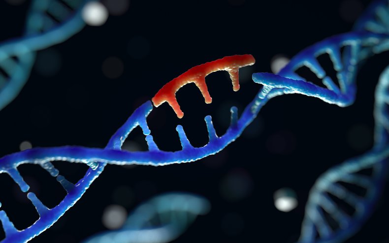 The Story Of He Jiankui, Now Out Of Jail After Editing The Dna Of Unborn Babies Dna