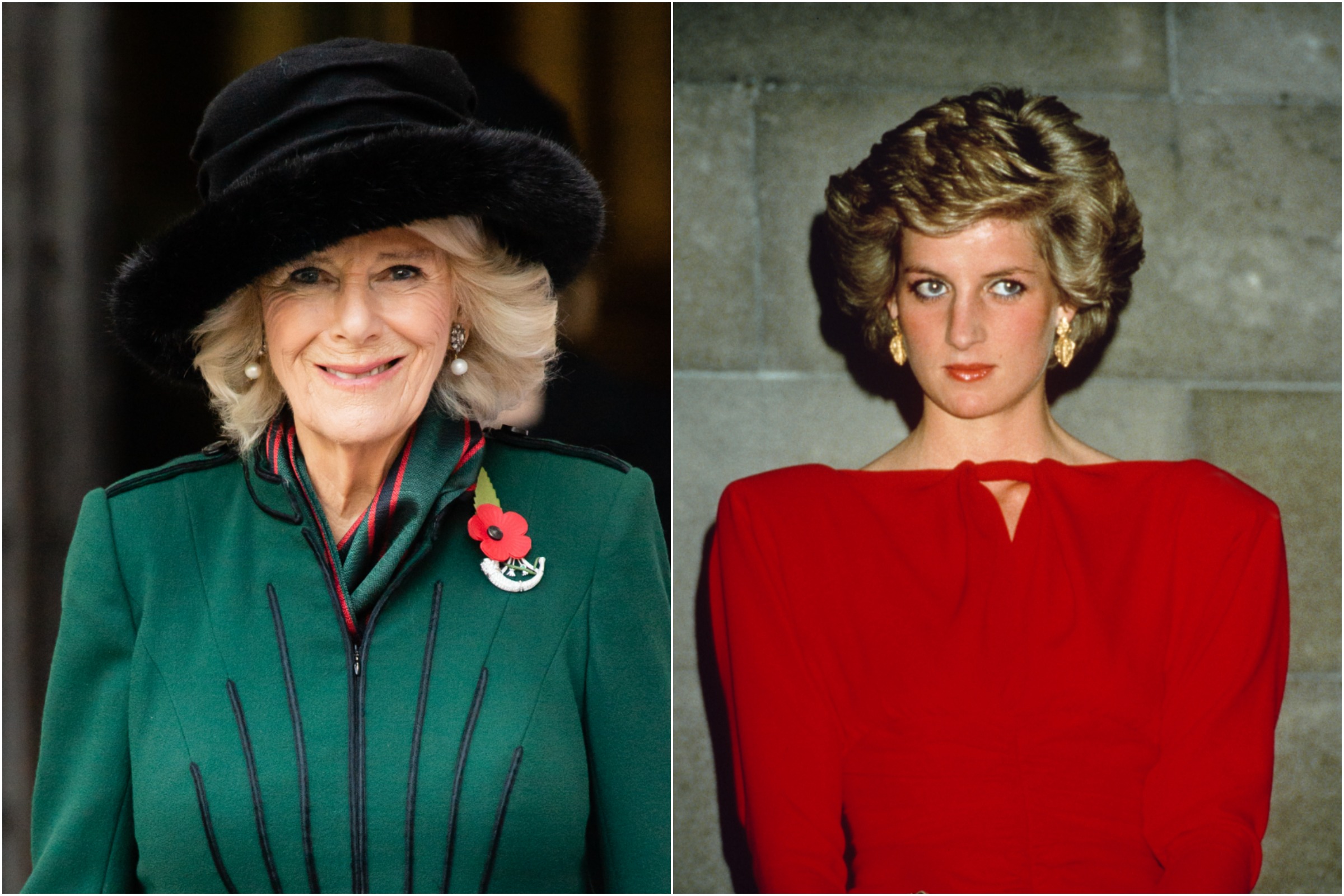 Camilla Felt Empathy For Diana Due To Charles Regimented Routines 